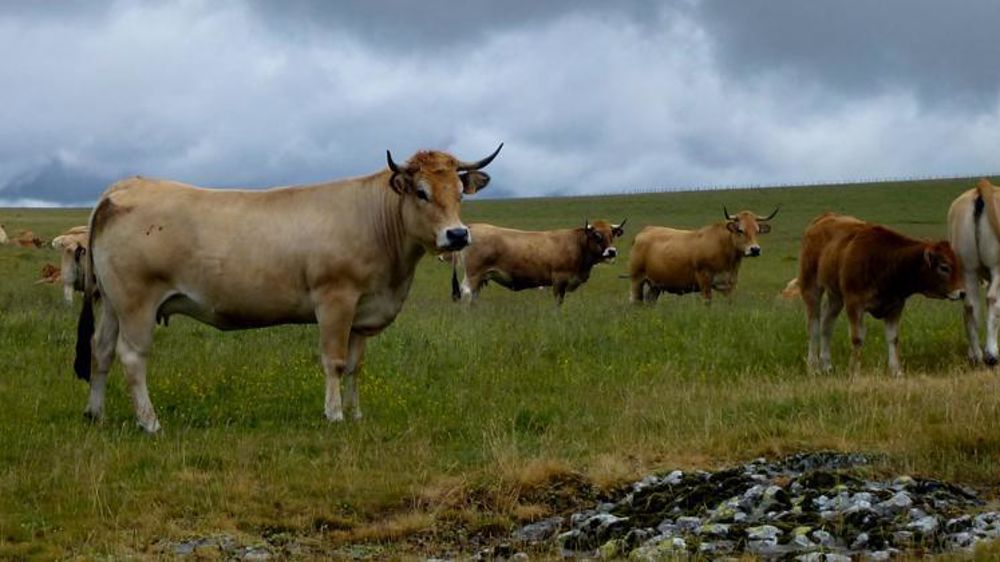 © Valérie Scarlakens/GFA